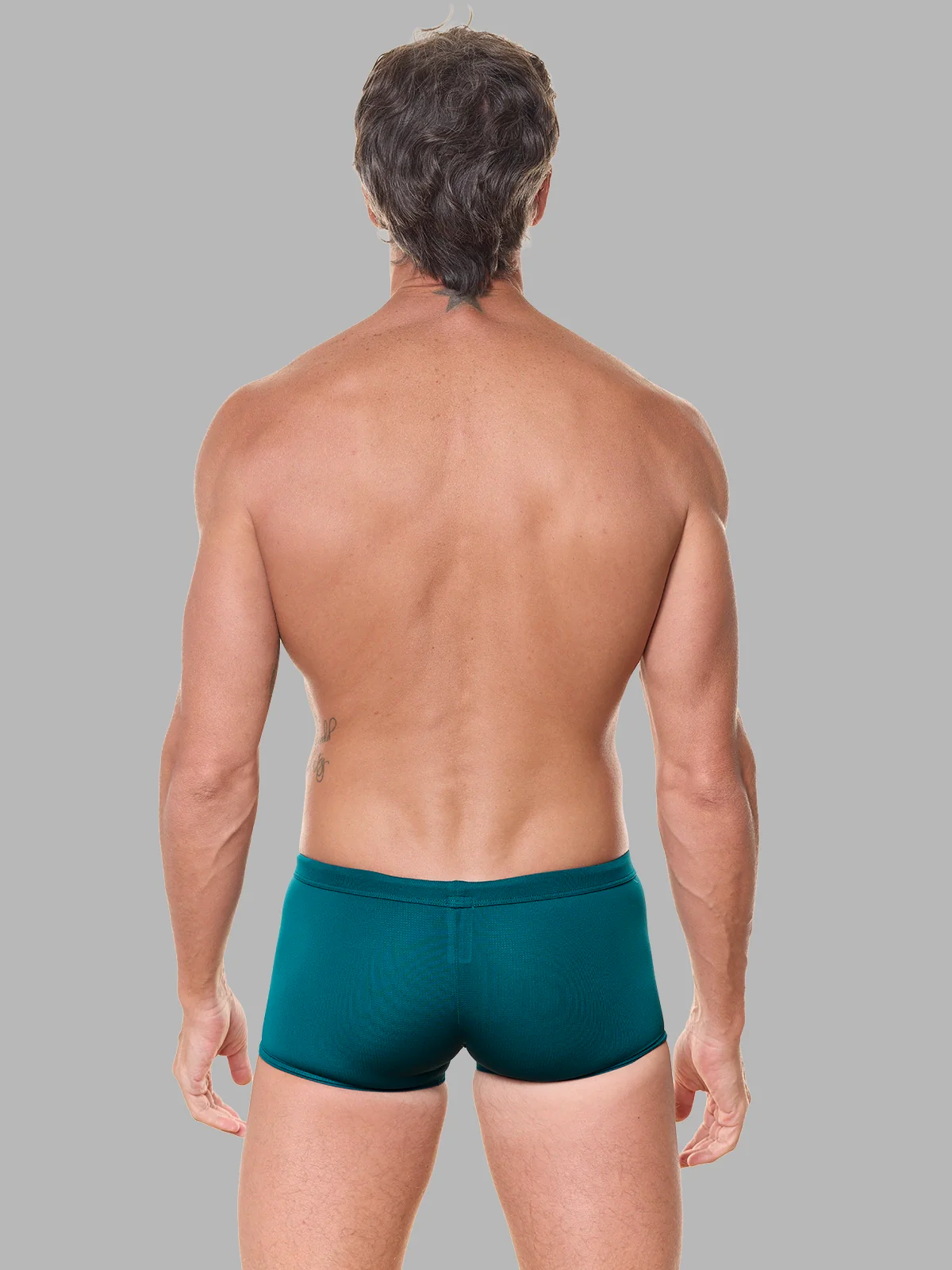 Boxer Aria Turmalina - Image 4
